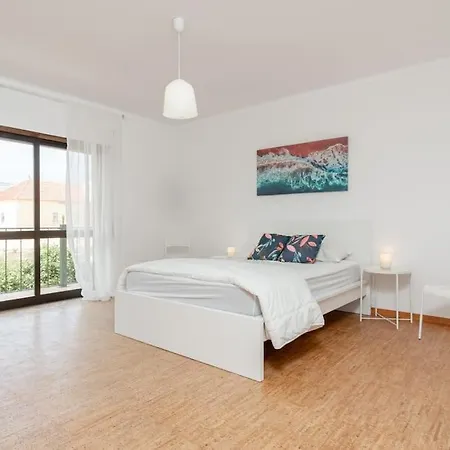 A Big Beautiful House Near Santa Cruz *