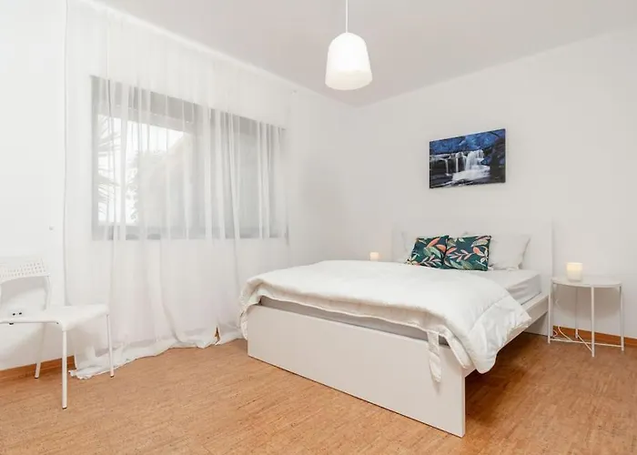 A Big Beautiful House Near Santa Cruz