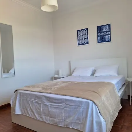 A Big Beautiful House Near Santa Cruz *